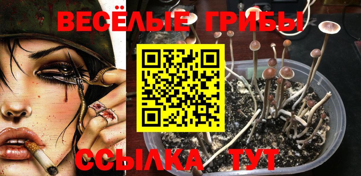 Галлюциногенные грибы ЛСД  Галлюциногенные грибы Psilocybine cubensis  Подольск  Вход с VPN 