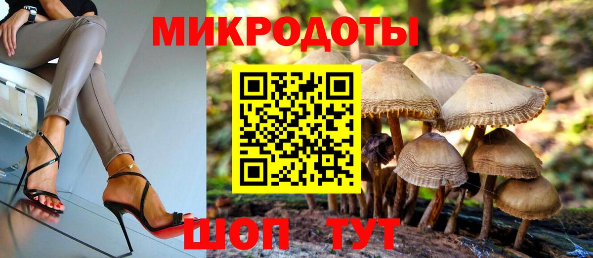 Псилоцибиновые грибы мицелий Подольск